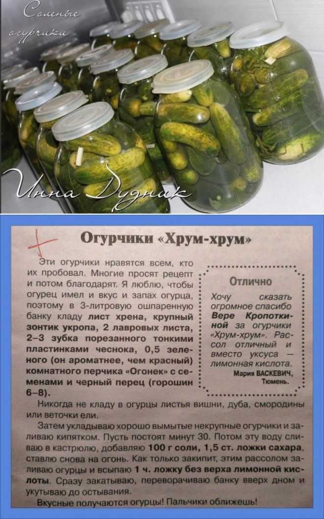 Маринованные корнишоны на зиму в банках: 3 главных рецепта хрустящих огурчиков