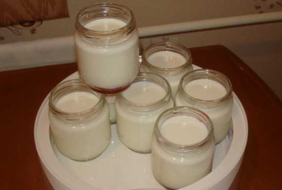 Приготовить йогурт в домашних условиях: мастер класс