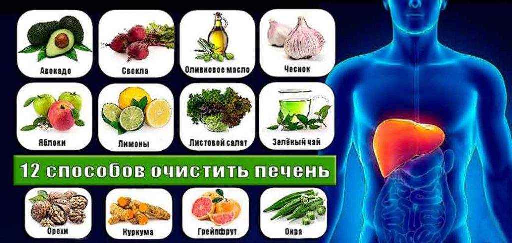 Полезно ли есть несколько раз в день небольшими порциями?