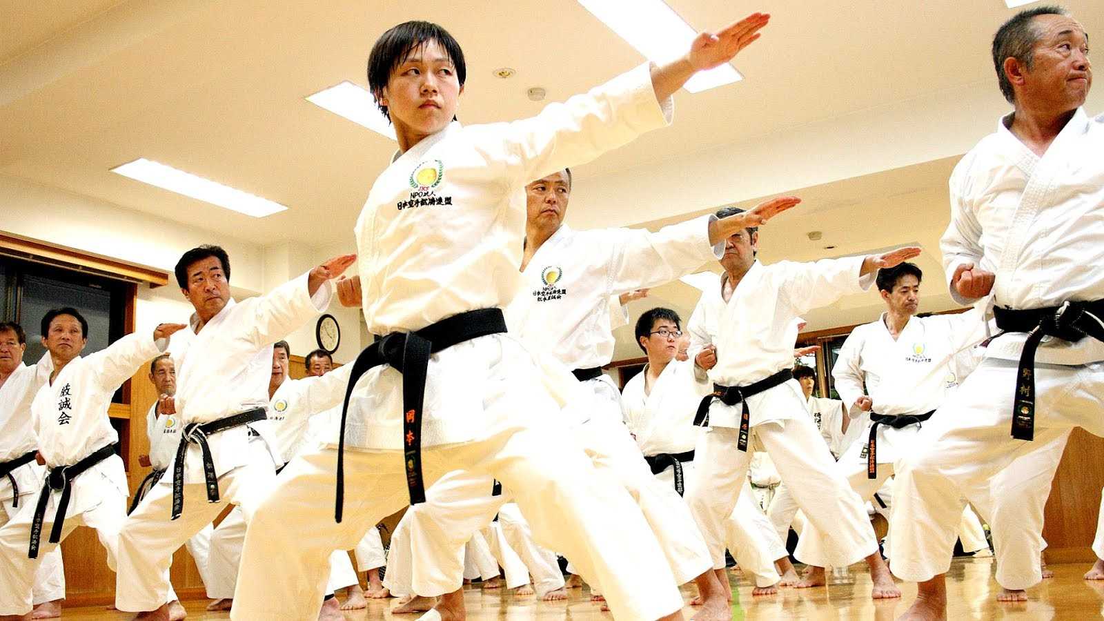 Восточные единоборства какие. Карате боевые искусства Японии. Боевое Окинавское каратэ. Сумо дзюдо карате Япония. Японец каратист.