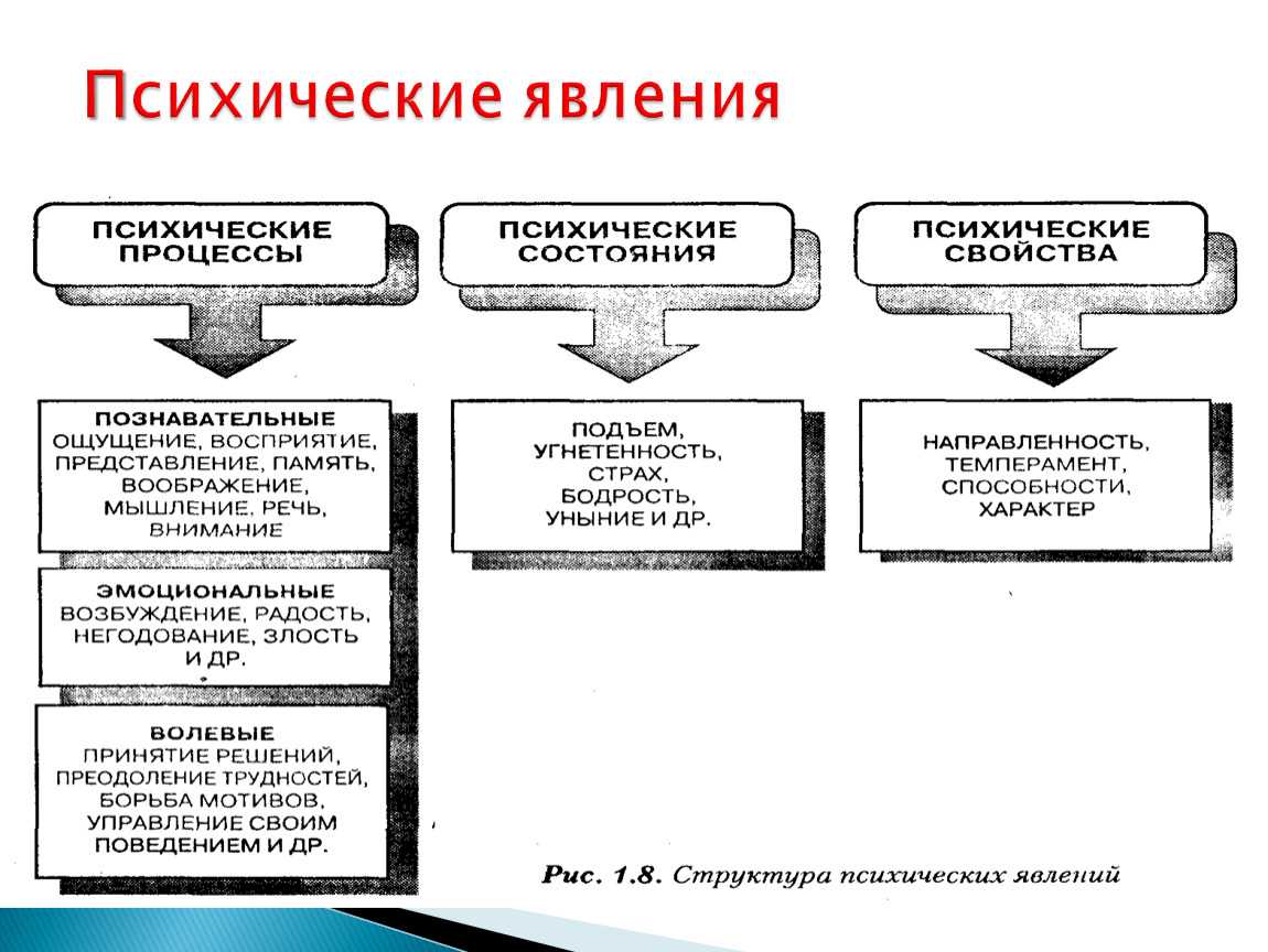 Перенос внешних действий во внутренний план отражения