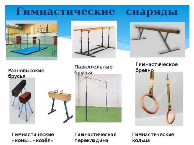 ✅ гимнастический конь. виды и конструкция. упражнения - motoshkolads.ru