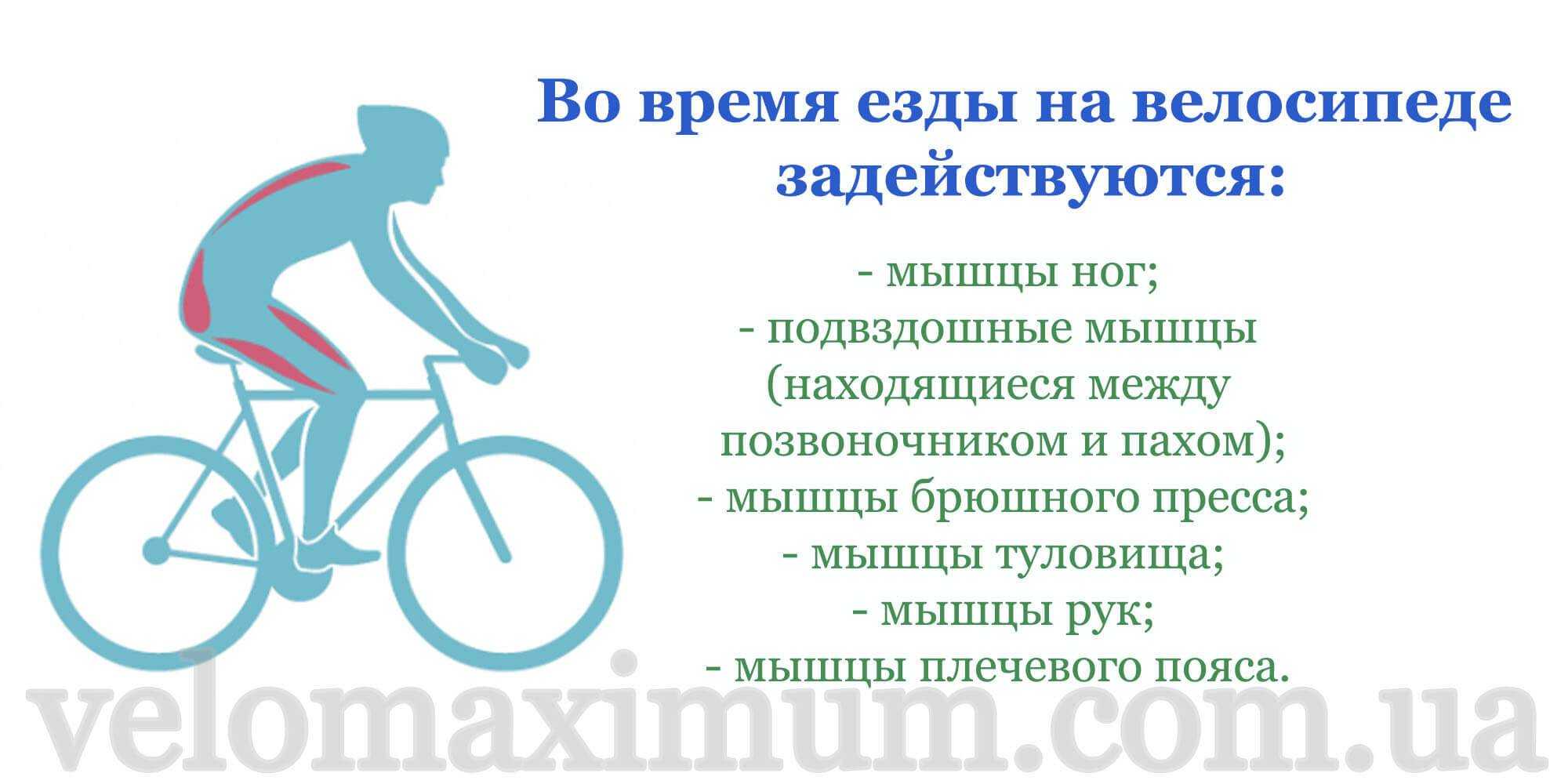 В каком возрасте и как учить ребенка езде на велосипеде. как научить ребенка кататься на велосипеде, какая экипировка необходима, какой велосипед выбрать, как должен проходить процесс обучения