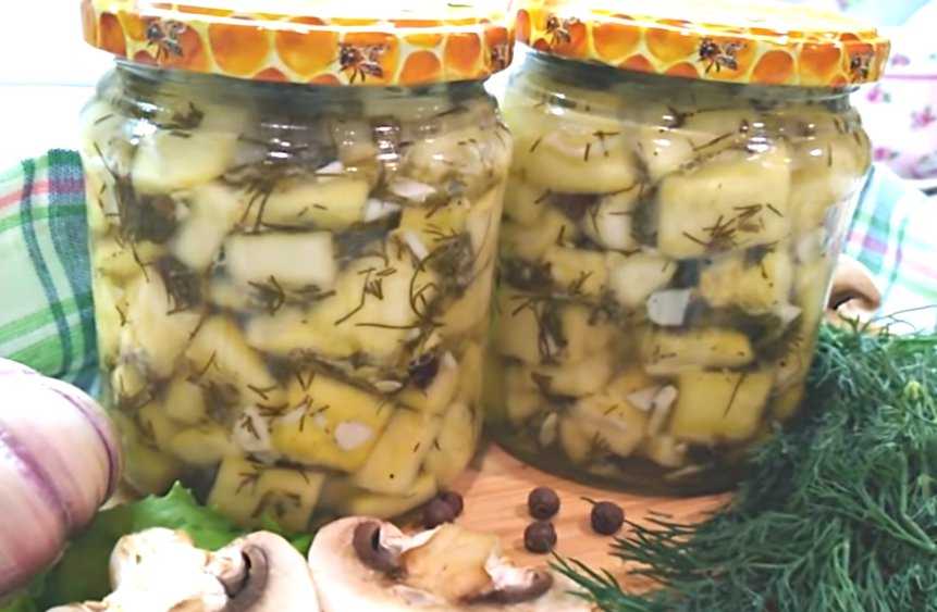 Кабачки как грибы: 6 самых вкусных рецептов, просто объедение!