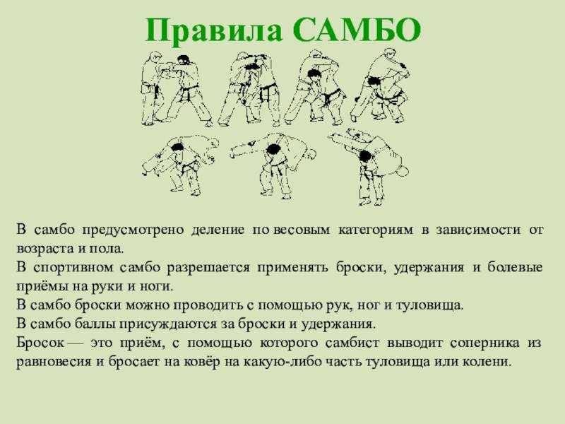 Правила самбо картинки