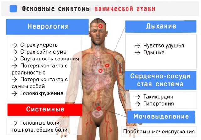 Психология толпы: что такое массовая истерия - hi-news.ru