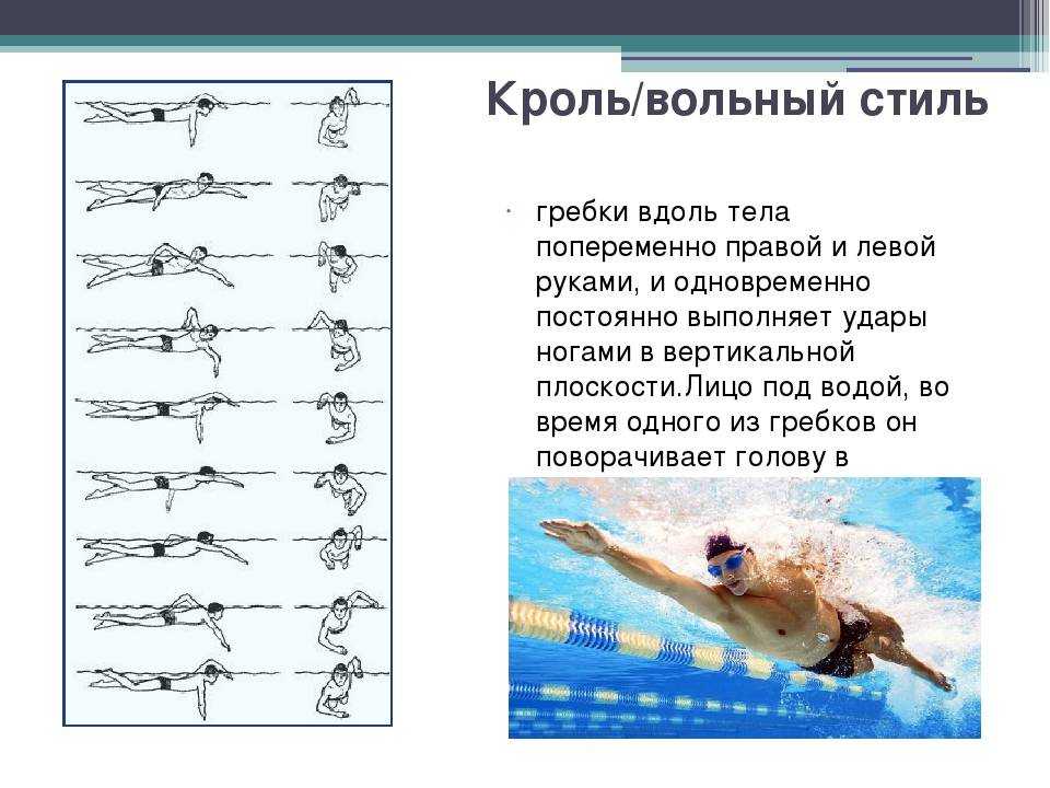 План конспект обучение технике плавания брассом