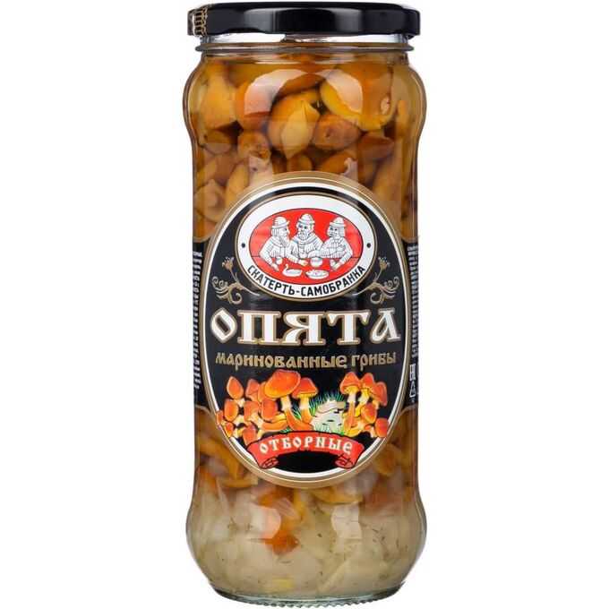 Как быстро и вкусно замариновать лесные опята — 5 простых рецептов маринованных опят на зиму
