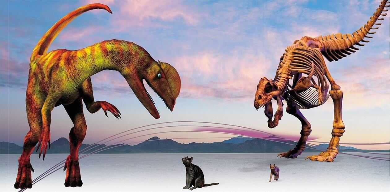 Полный список популярных книг о фигурном катании и фигуристах Тренеры и фигуристы познакомятся с учебниками по фигурному катанию