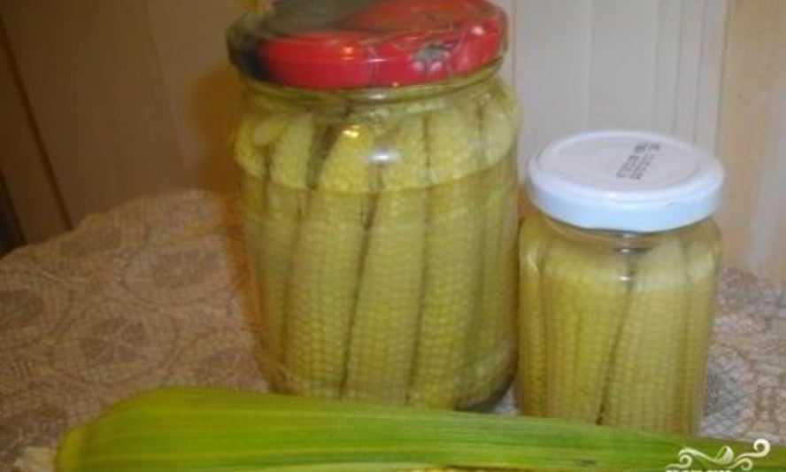 Как консервировать кукурузу зернами и початками в банках в домашних условиях на зиму