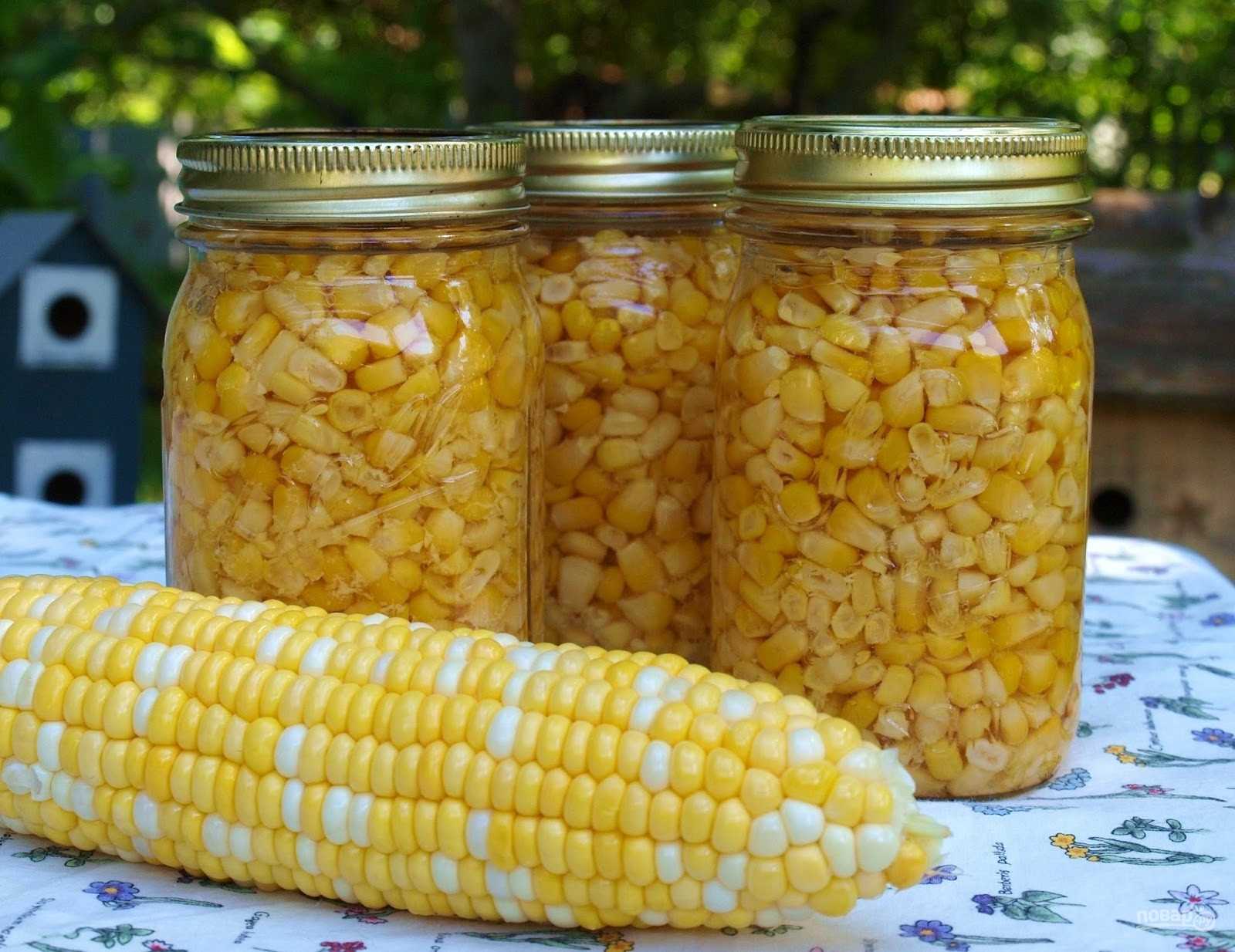 Кукуруза консервированная рецепты с фото. Кукуруза консервированна. Кукуруза консерв в початках. Кукуруза сладкая консервированная. Консервирование кукурузы.