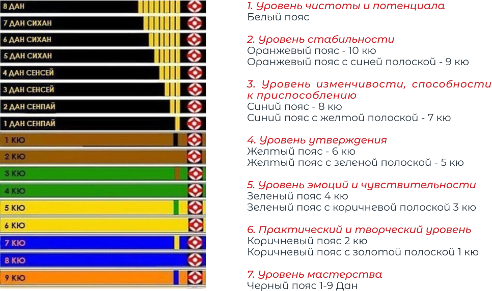 Сколько поясов в карате и какого цвета по порядку фото с названиями