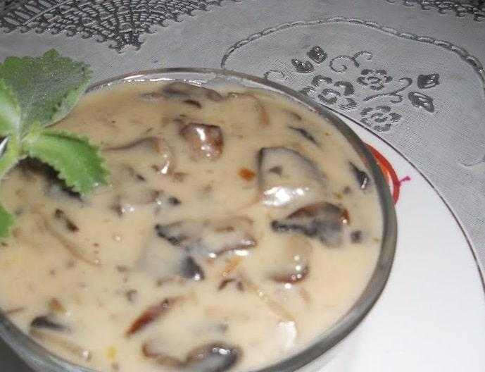Грибы в сметане - 10 безумно вкусных рецептов с фото и советы по приготовлению