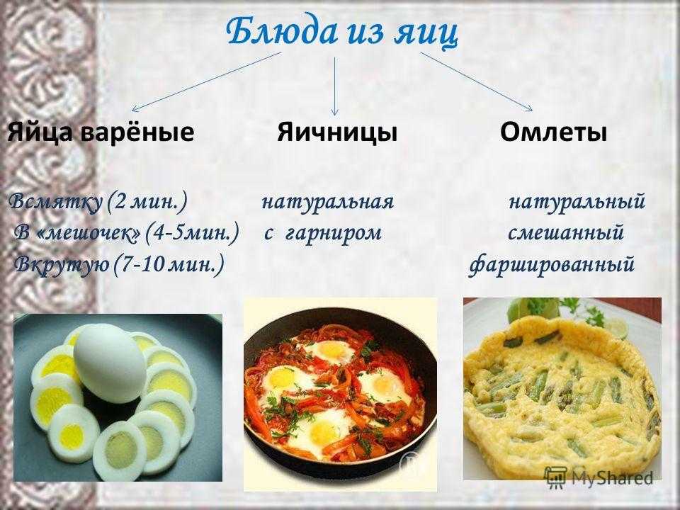 Название блюд из теста. Блюда из яиц. Приготовление блюд из яиц. Блюда из яиц разновидности. Наименование блюд из яиц.