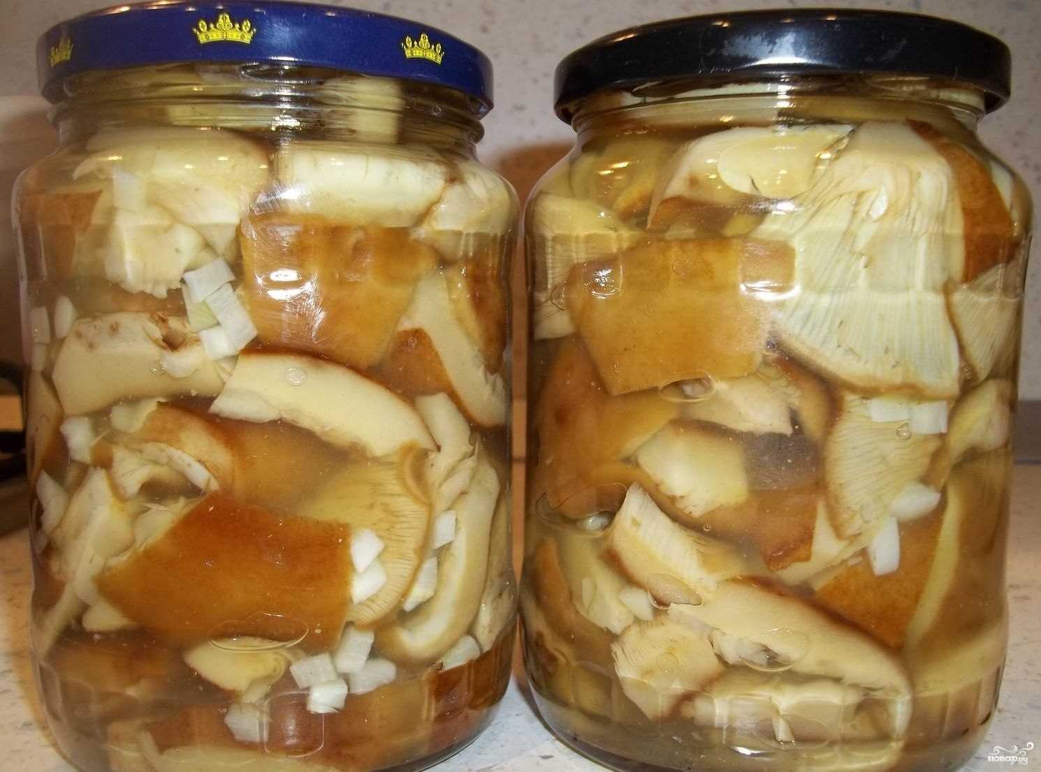 Как солить грузди на зиму холодным и горячим способом?