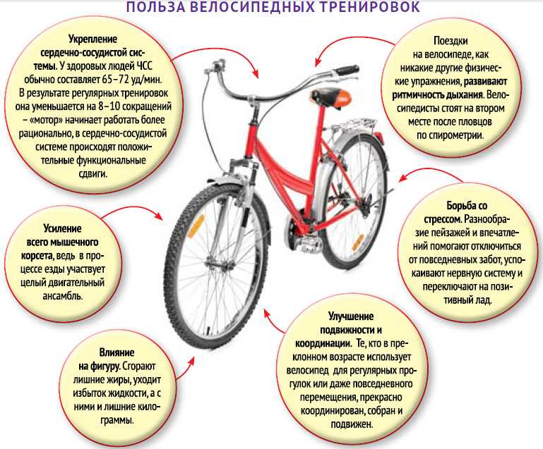 Польза езды на велосипеде:  25 научных фактов, о которых вы должны знать