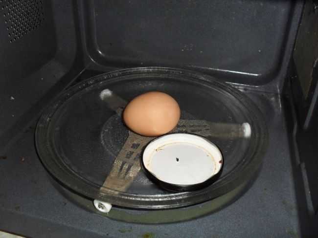 Можно ли вареное яйцо в микроволновке. Яйцо в микроволновке. Яйца в СВЧ печи. Яичко в микроволновке. Форма для яиц для микроволновки.