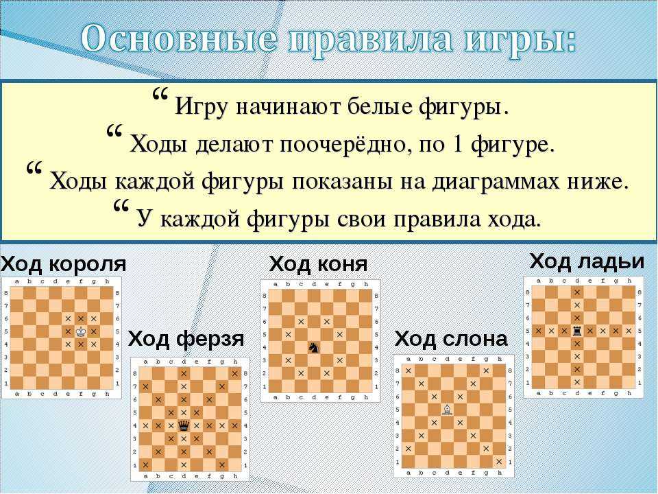 Шахматы для ребенка в 5 лет | semyatut.ru