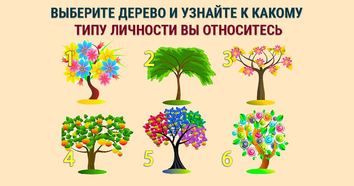 Какой у меня сезон?