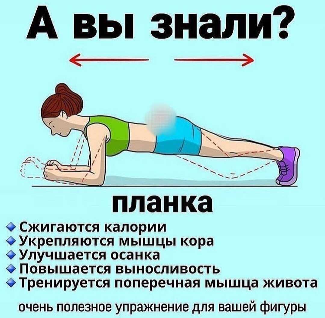 Упражнение планка: как правильно делать
