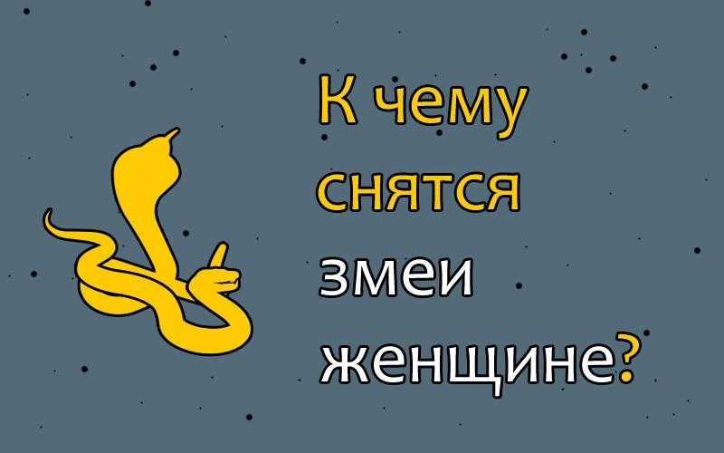 К чему снятся змеи? 3 толкования снов о змеях с точки зрения психологии ~ вольнодум