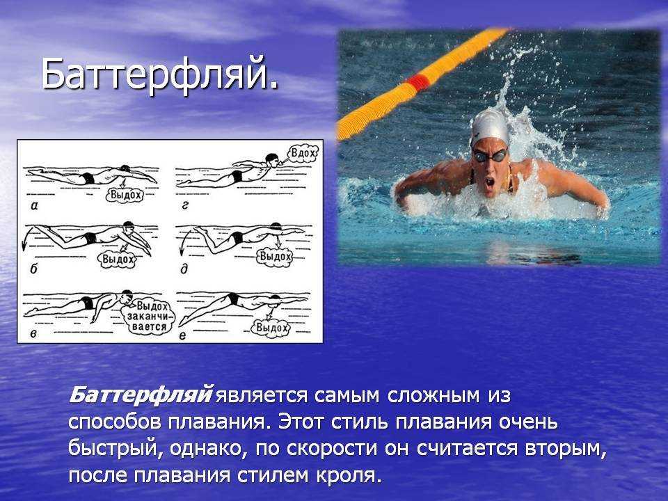 Научиться плавать самостоятельно с нуля. Баттерфляй плавание техника. Стиль плавания брасс и Баттерфляй. Вид плавания Баттерфляй. Плавание брасс Кроль Баттерфляй.