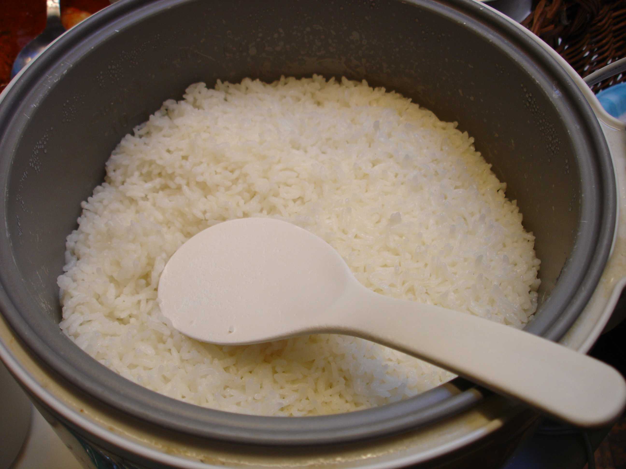 Рис варить в холодной или горячей воде. Рис вареный. Отварить рис. Рис в кастрюле. Вареный рассыпчатый рис.