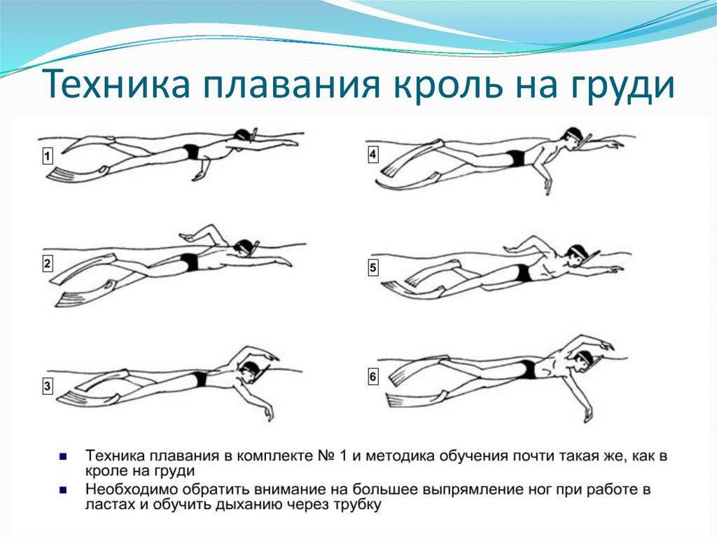 Кроль на груди схема