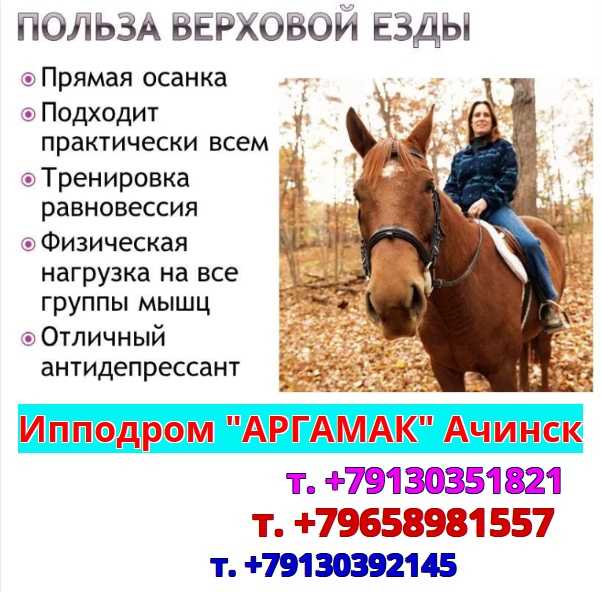 Дети в конном спорте | статья в журнале «юный ученый»